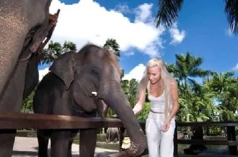 База отдыха Mason Elephant