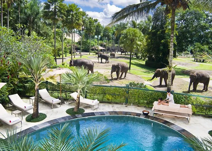 Mason Elephant 5*