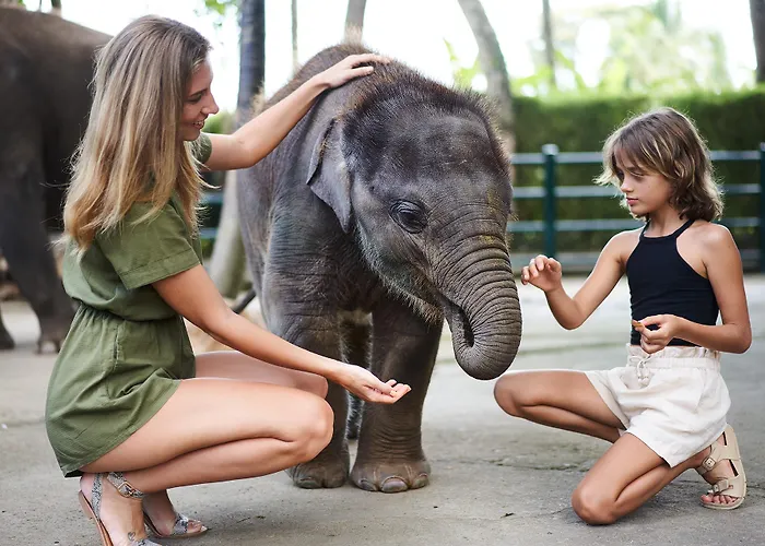 Mason Elephant База отдыха 5*