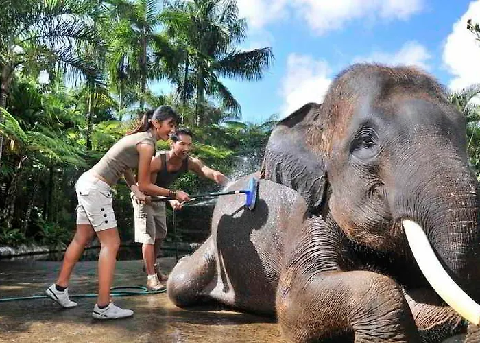 Mason Elephant База отдыха 5*