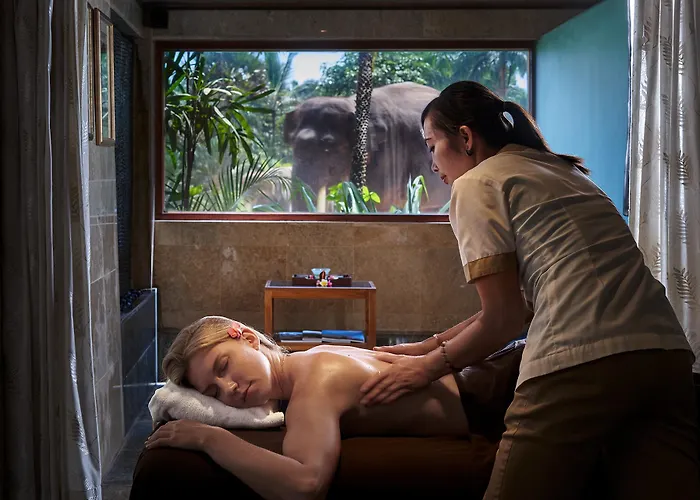 База отдыха Mason Elephant Убуд