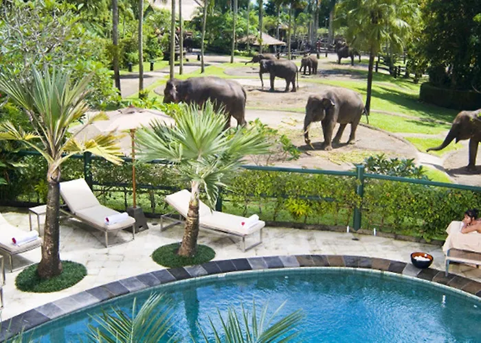 Mason Elephant