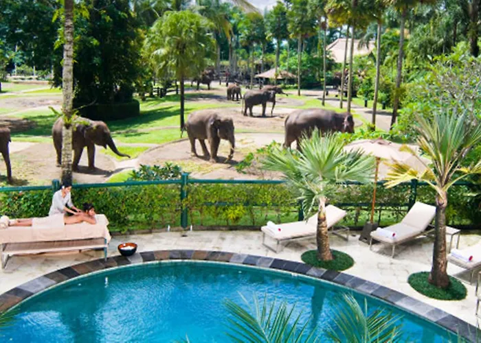 Mason Elephant 5*