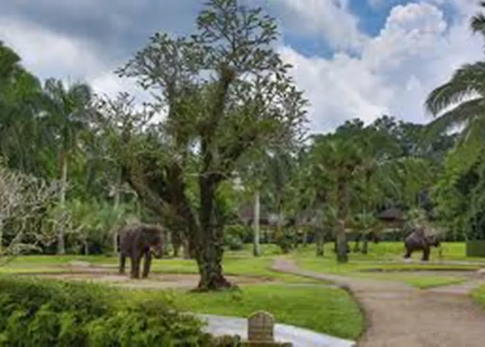 База отдыха Mason Elephant 5*