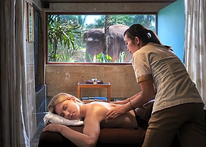 База отдыха Mason Elephant