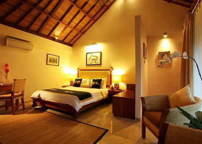Mason Elephant 5*