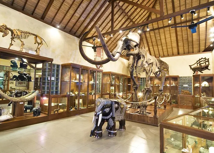Mason Elephant 5*