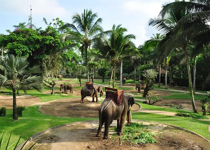 Mason Elephant База отдыха Убуд